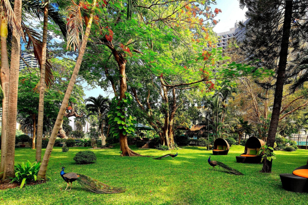Las mejores ofertas de Royal Orchid Sheraton - Towers Bangkok Bangkok