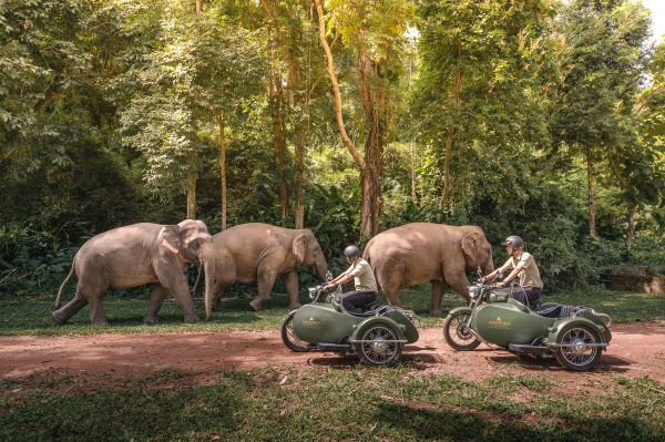Las mejores ofertas de Anantara Golden Triangle Elephant Camp & Resort CHIANG SEAN
