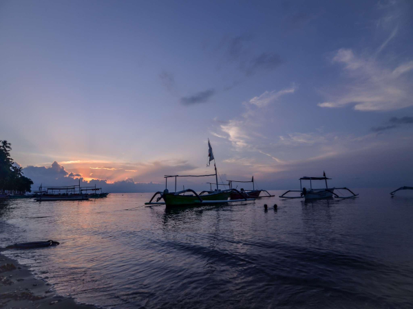 Las mejores ofertas de Aneka Lovina Villas & Spa Lovina