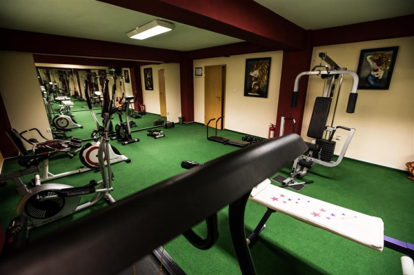 Las mejores ofertas de Ambassador Hotel Timisoara 