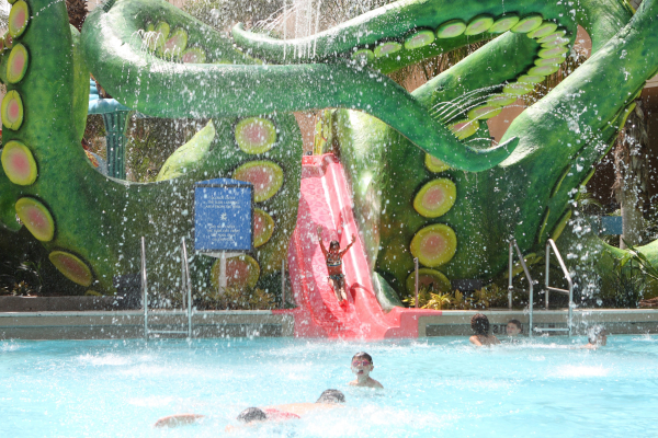 Las mejores ofertas de Gaylord Palms Resort & Convention Center Orlando
