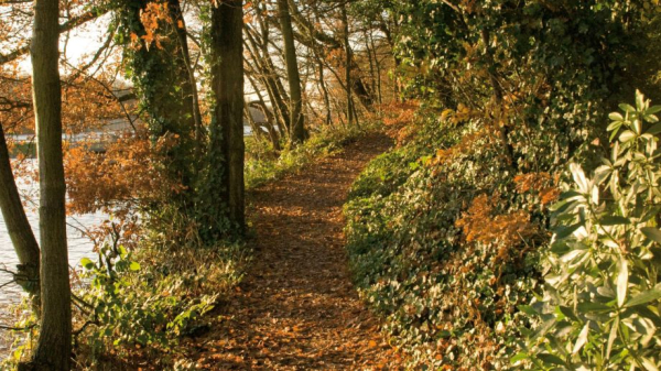 Las mejores ofertas de Macdonald Kilhey Court Hotel Wigan