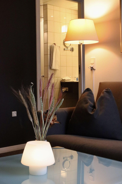 Las mejores ofertas de Radisson Blu Hotel Papirfabrikken Silkeborg