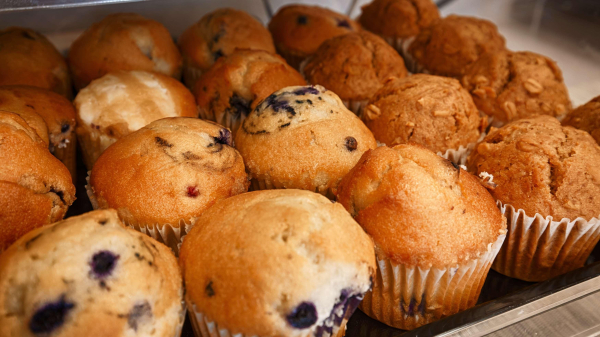 Las mejores ofertas de Best Western Williamsburg Historic District Williamsburg 