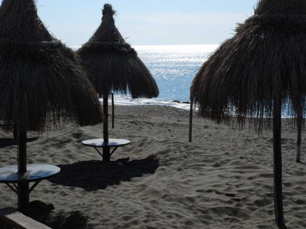 Las mejores ofertas de Alle Tamerici Ladispoli 