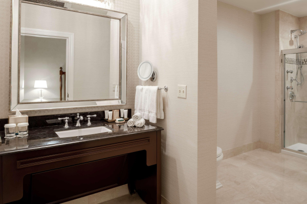 Las mejores ofertas de The Roosevelt New Orleans, A Waldorf Astoria Hotel New Orleans