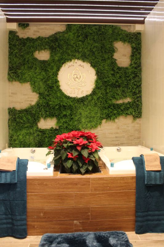 Hotel Dos Patios, Holístico Boutique & SPA