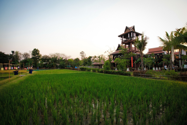 Las mejores ofertas de Siripanna Villa Resort & Spa Chiangmai Chiang Mai