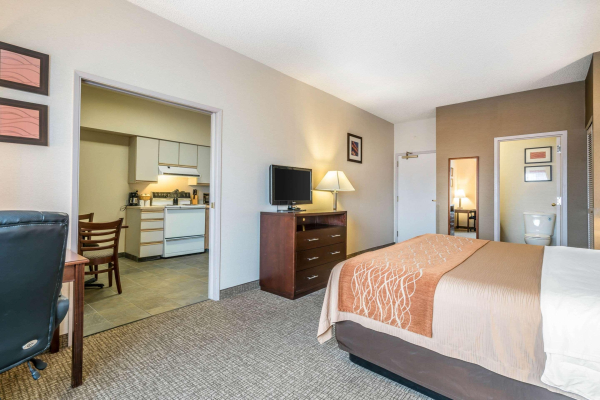 Las mejores ofertas de Comfort Inn & Suites Seattle Seattle