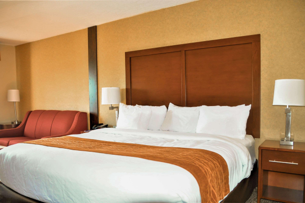 Las mejores ofertas de Comfort Inn Suites Vancouver Downtown City Center Portland