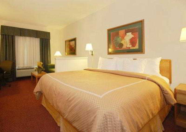 Las mejores ofertas de Comfort Suites New Braunfels New Braunfels