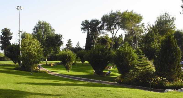 Las mejores ofertas de Carmel Forest SPA Resort Haifa
