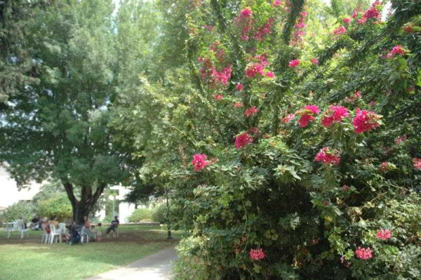 Las mejores ofertas de Kfar Giladi Tiberias