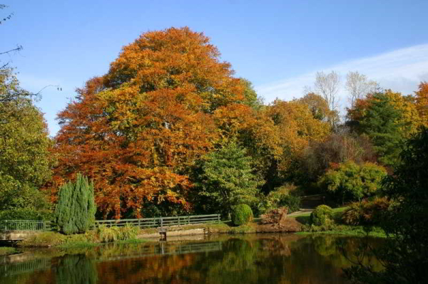 Las mejores ofertas de Beech Hill Country House Hotel Derry
