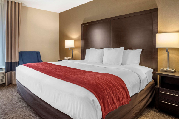Las mejores ofertas de Comfort Inn Towson Baltimore