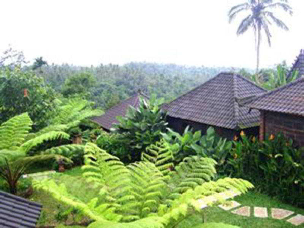 Las mejores ofertas de Bali mountain retreat Tabanan