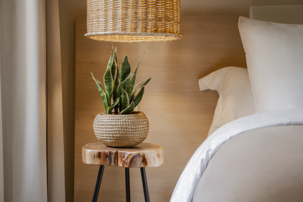 Las mejores ofertas de Room Select Via Veneto Roma