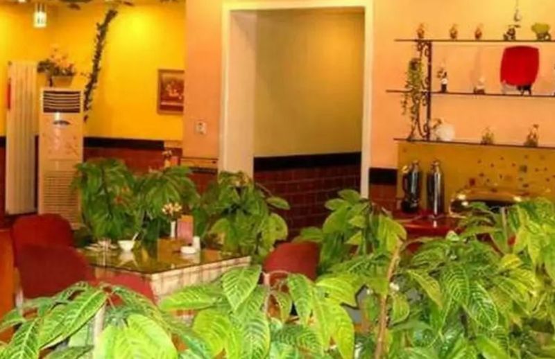 Las mejores ofertas de Home Inn Renming Road Dalian