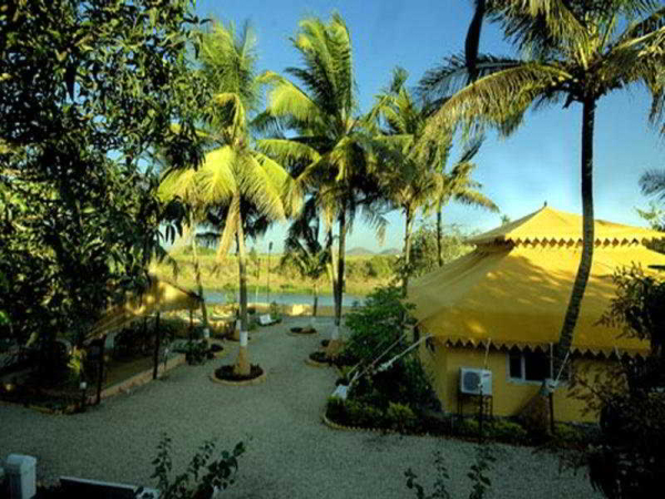 Las mejores ofertas de Lion Safari Camp Gandhinagar 