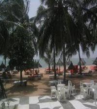 Las mejores ofertas de Filaos Hibiscus Saly