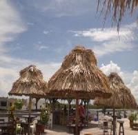 Las mejores ofertas de Reef Village Belize 