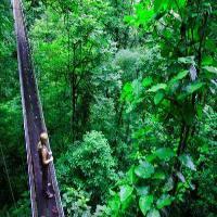 Las mejores ofertas de Tenorio Lodge Alajuela