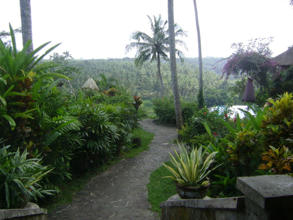 Las mejores ofertas de TAMAN BEBEK Ubud