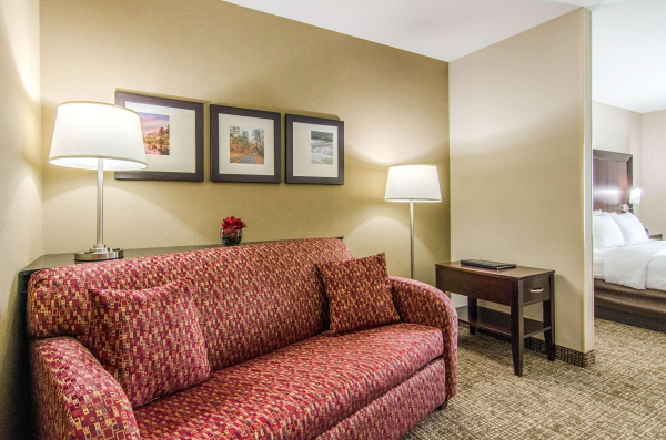 Las mejores ofertas de Comfort Suites Bentonville - Rogers Fayetteville