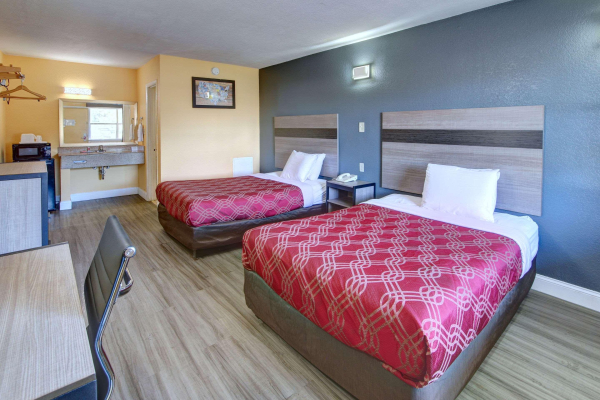 Las mejores ofertas de Econo Lodge at Military Circle Norfolk 