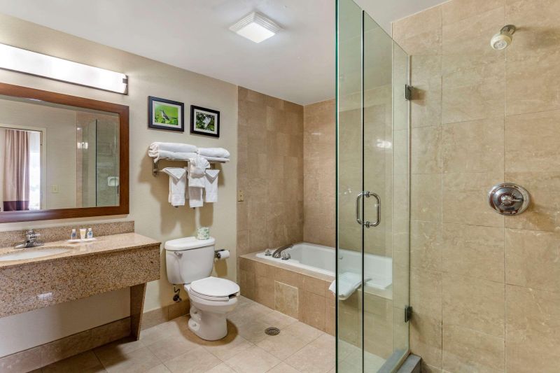 Las mejores ofertas de Comfort Suites (Southaven) Memphis 