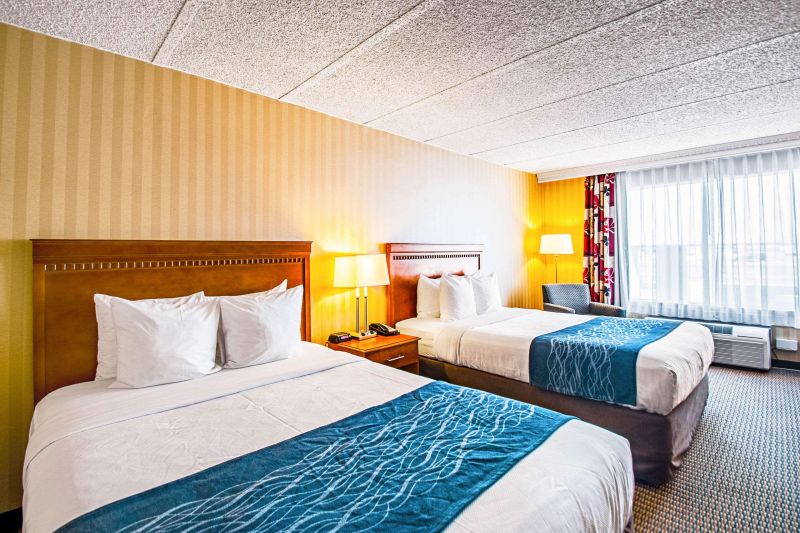 Comfort Inn Falls Church - Tysons Corner