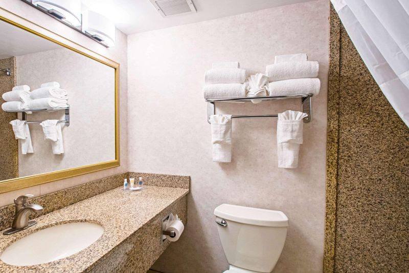 Comfort Inn Falls Church - Tysons Corner