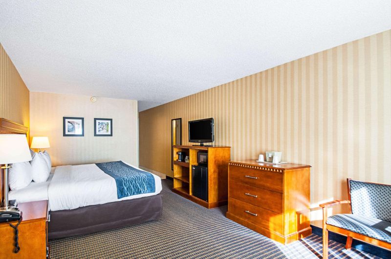 Comfort Inn Falls Church - Tysons Corner