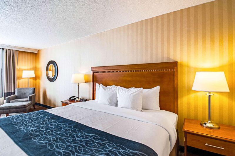 Comfort Inn Falls Church - Tysons Corner