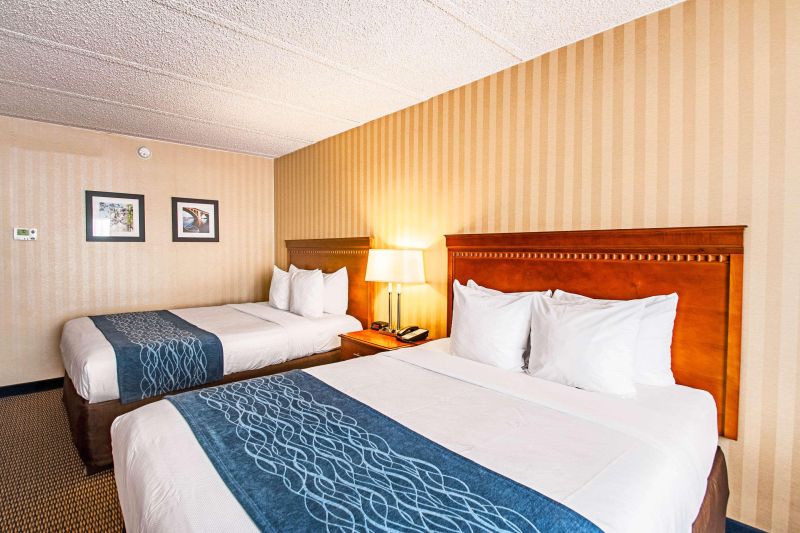 Comfort Inn Falls Church - Tysons Corner