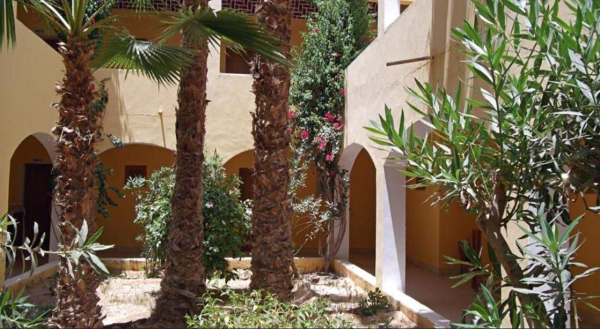 Sun Palm