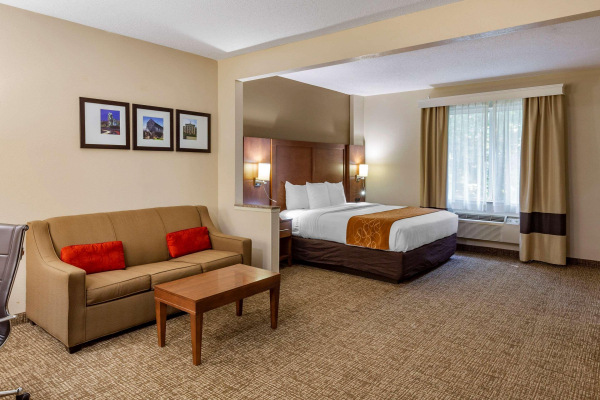 Las mejores ofertas de Comfort Suites (Raleigh) Raleigh 