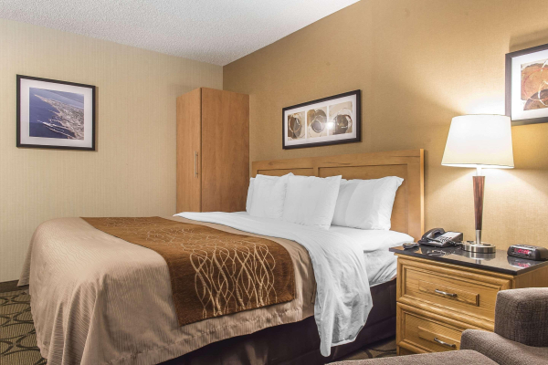 Las mejores ofertas de Comfort Inn Sept-Iles Sept-Îles 