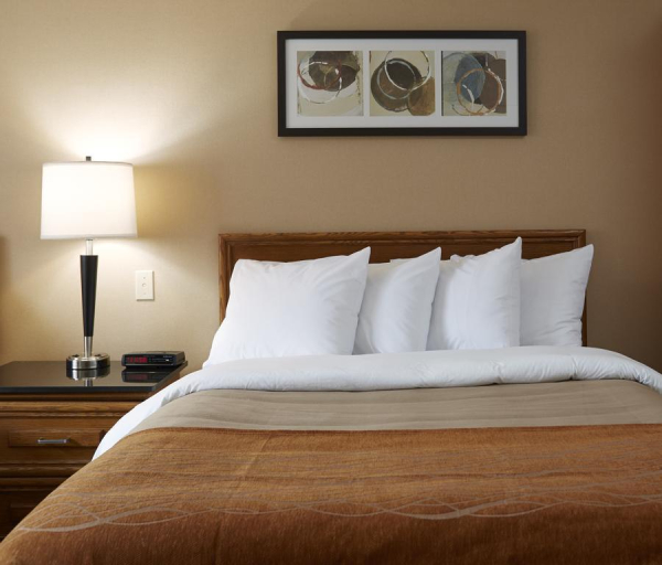 Las mejores ofertas de Comfort Inn (Simcoe) Simcoe