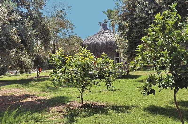 Las mejores ofertas de MC Mahberi Beach Hotel Alanya