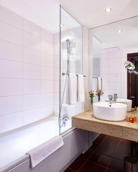 Las mejores ofertas de Metropolitan Sofia member of Radisson Individuals Sofia