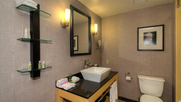 Las mejores ofertas de Holiday Inn Boise Airport Boise