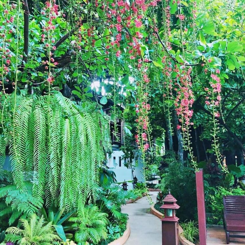 Las mejores ofertas de Yantarasri Resort Chiang Mai 