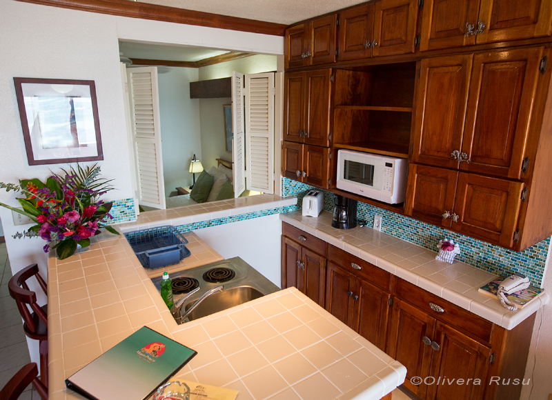 Las mejores ofertas de Mayan Princess Belize