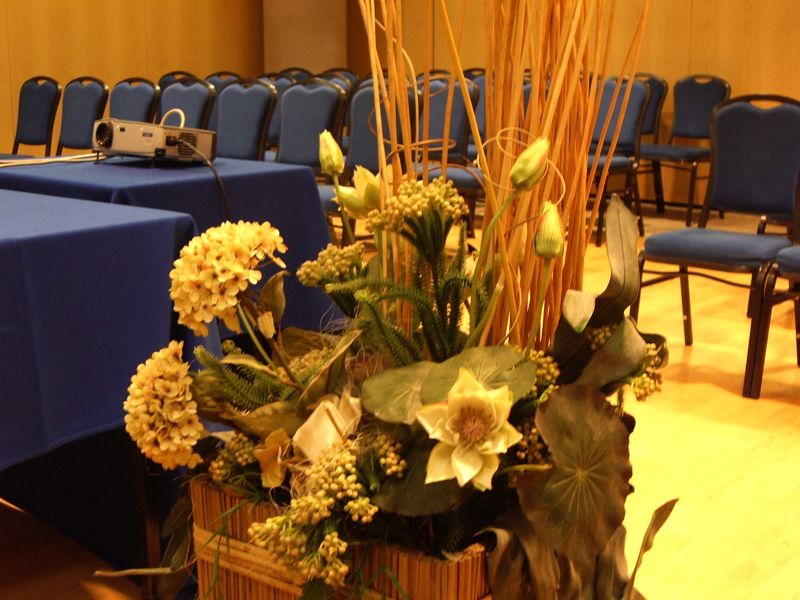 Las mejores ofertas de Pacific Fortino Turín