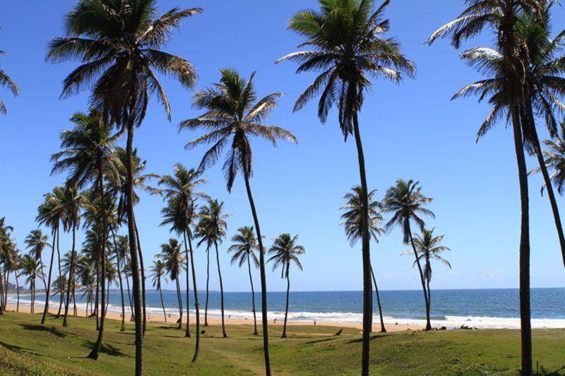 Las mejores ofertas de Alah Mar Salvador