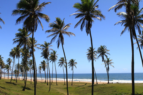 Las mejores ofertas de Alah Mar Salvador
