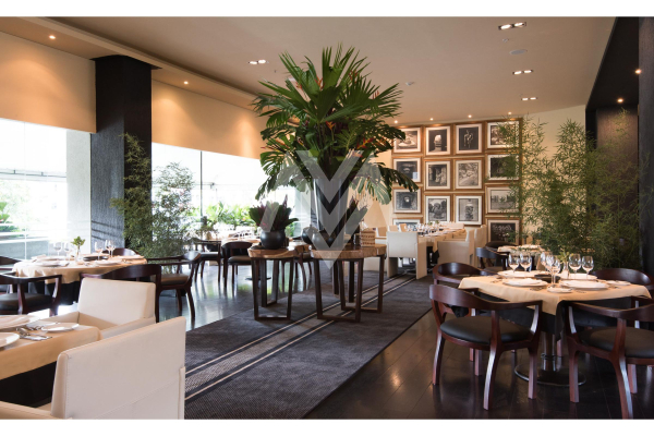 Las mejores ofertas de Movich Hotel de Pereira Pereira