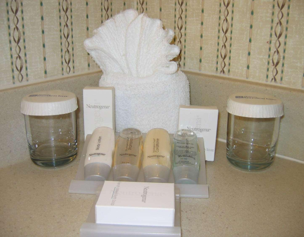 Las mejores ofertas de Hilton Garden Inn Raleigh-Durham Airport Morrisville 