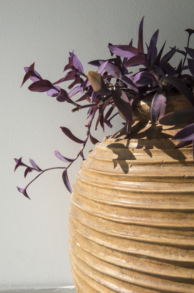 Las mejores ofertas de Aegeon Paros 